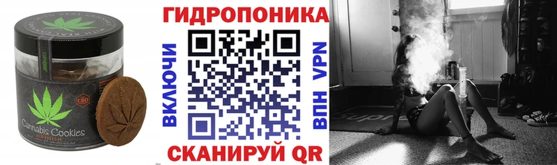 ссылка на мегу как зайти  Оленегорск  Cannafood конопля 