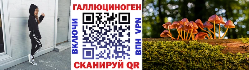 цена наркотик  Оленегорск  Псилоцибиновые грибы MAGIC MUSHROOMS 