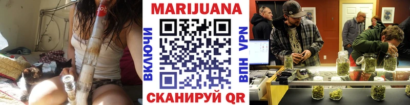 купить закладку  Оленегорск  Бошки марихуана сатива 